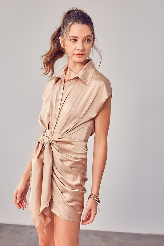 Taupe Collar Button Up Front Tie Dress