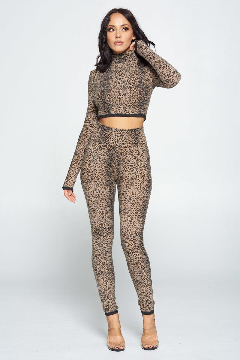 Brown Animal Print Long Sleeve Two Piece Set