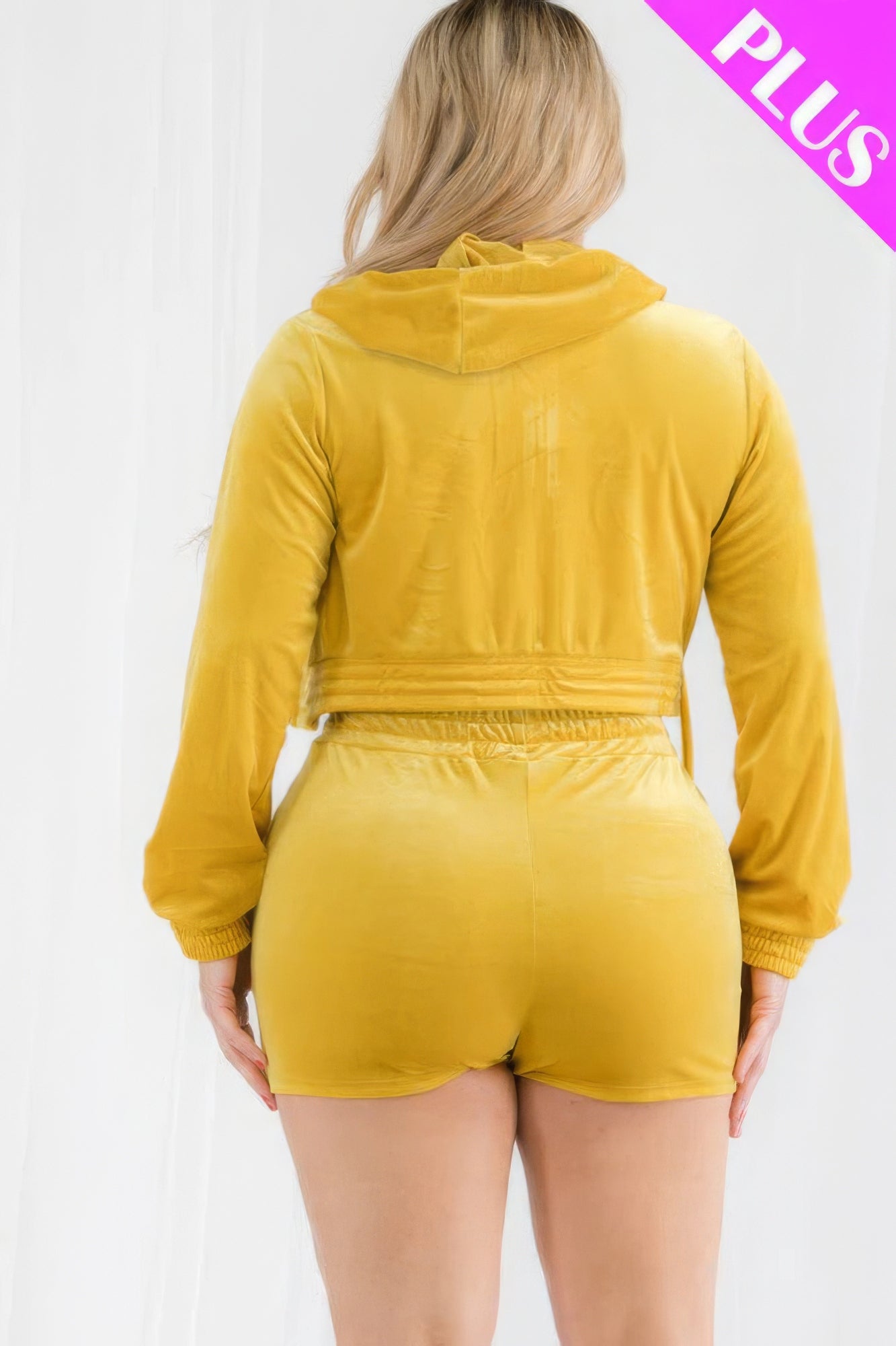 Plus Size Velour Crop Zip Up Hoodie And Shorts Set