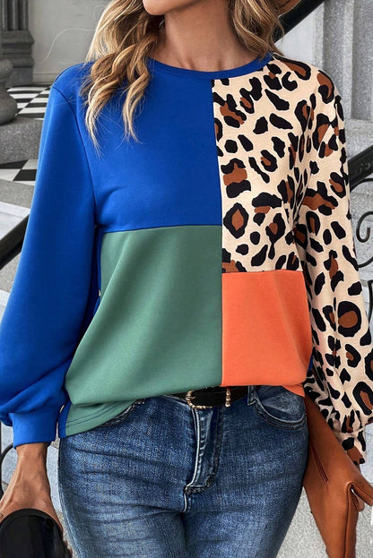 Color Block Round Neck Long Sleeve Sweatshirt